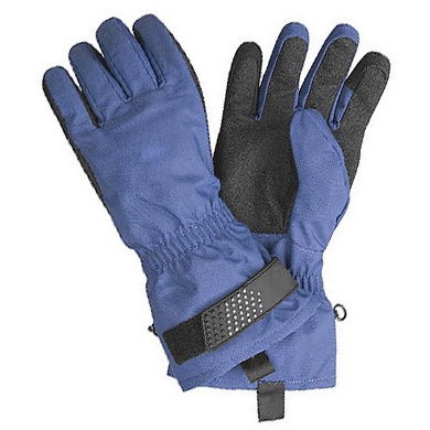 Ski Gloves