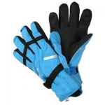 Ski Gloves